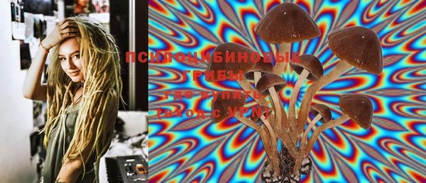 шишки Зеленокумск