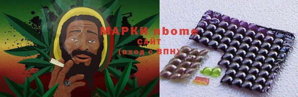 шишки Сясьстрой