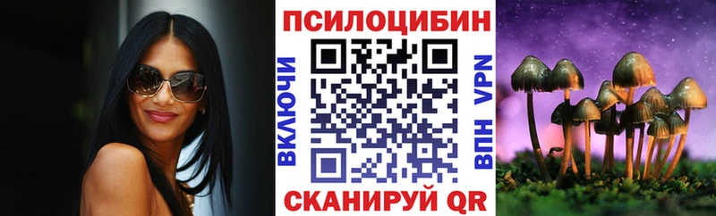 как найти наркотики  Черкесск  Псилоцибиновые грибы мухоморы 