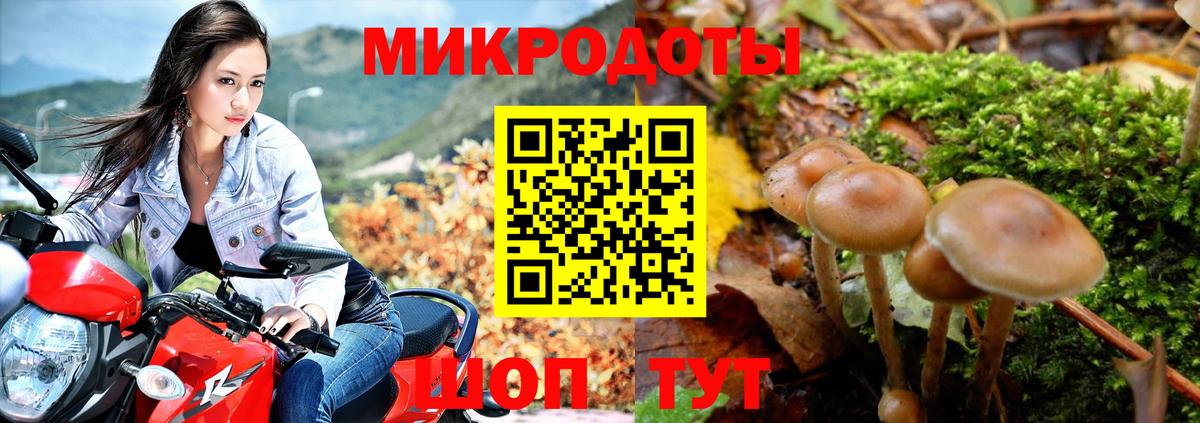 Псилоцибиновые грибы мухоморы Черкесск