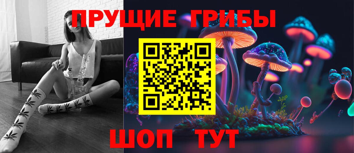 Черкесск  Псилоцибиновые грибы GOLDEN TEACHER  Вход с VPN 